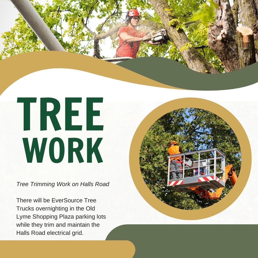 Tree Work Graphic