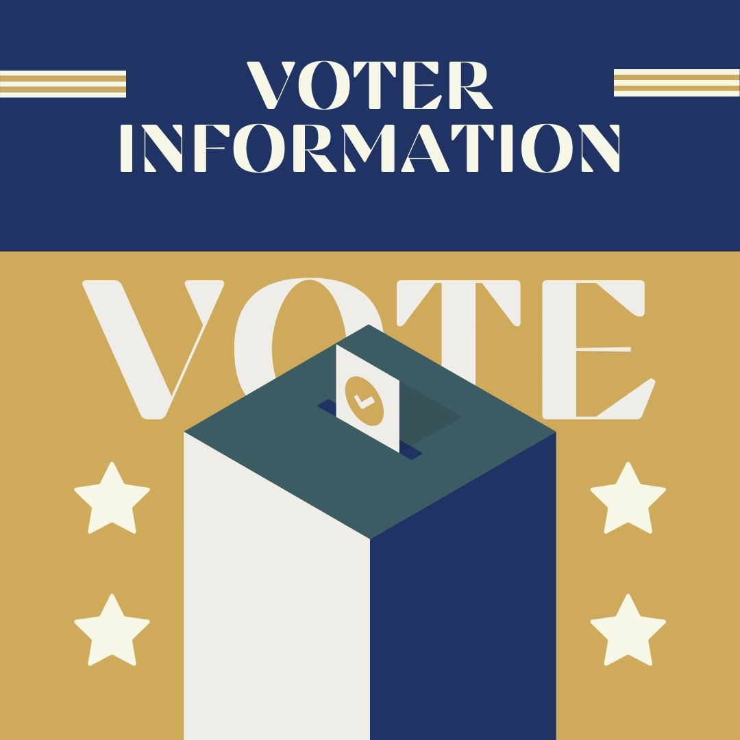 Voter Information Graphic