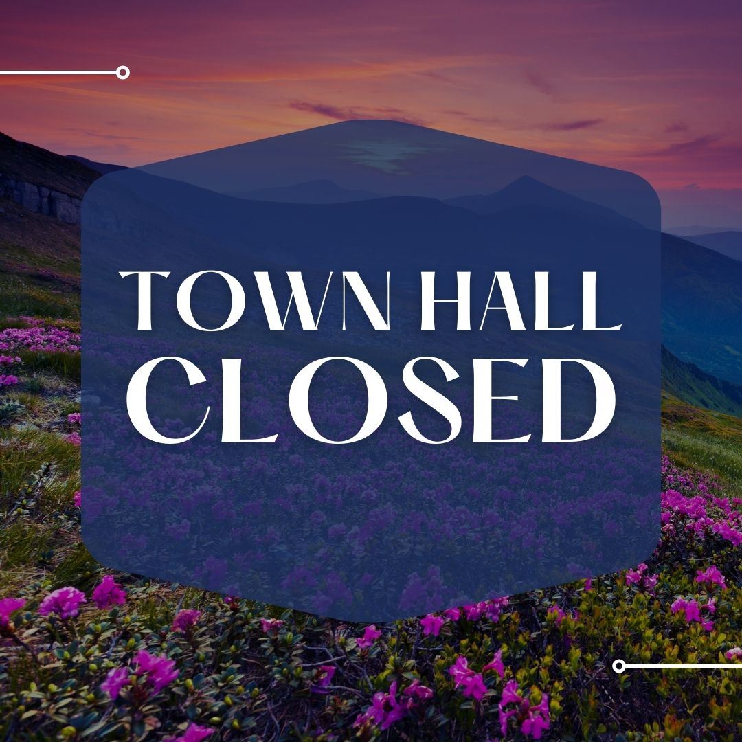 Town Hall Closed spring graphic