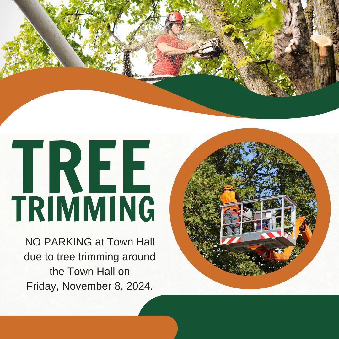 TREE Trimming Nov 24