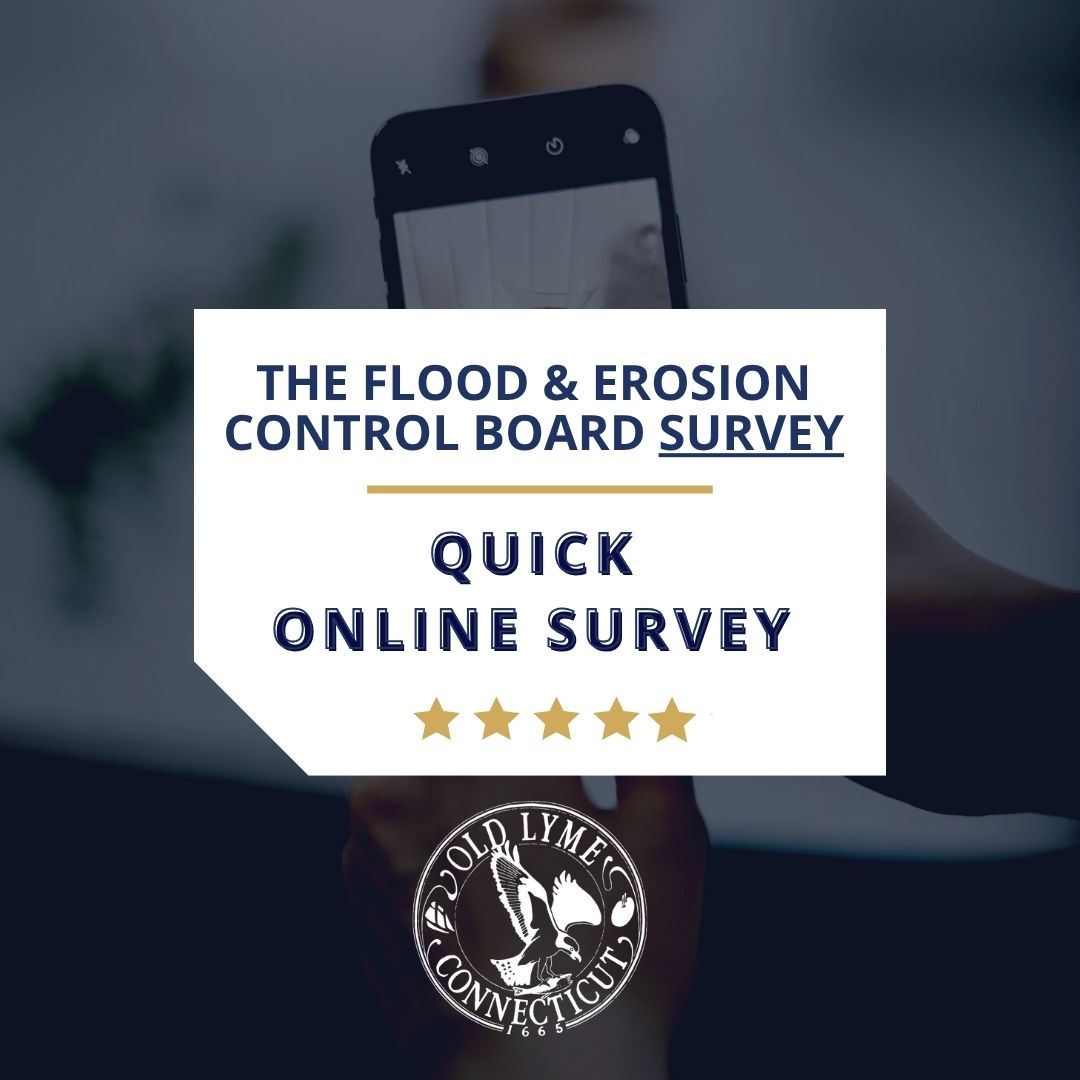 Flood and Erosion Online Survey graphic