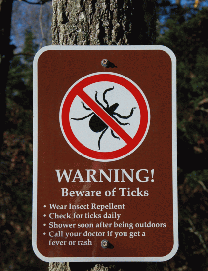 Ticks