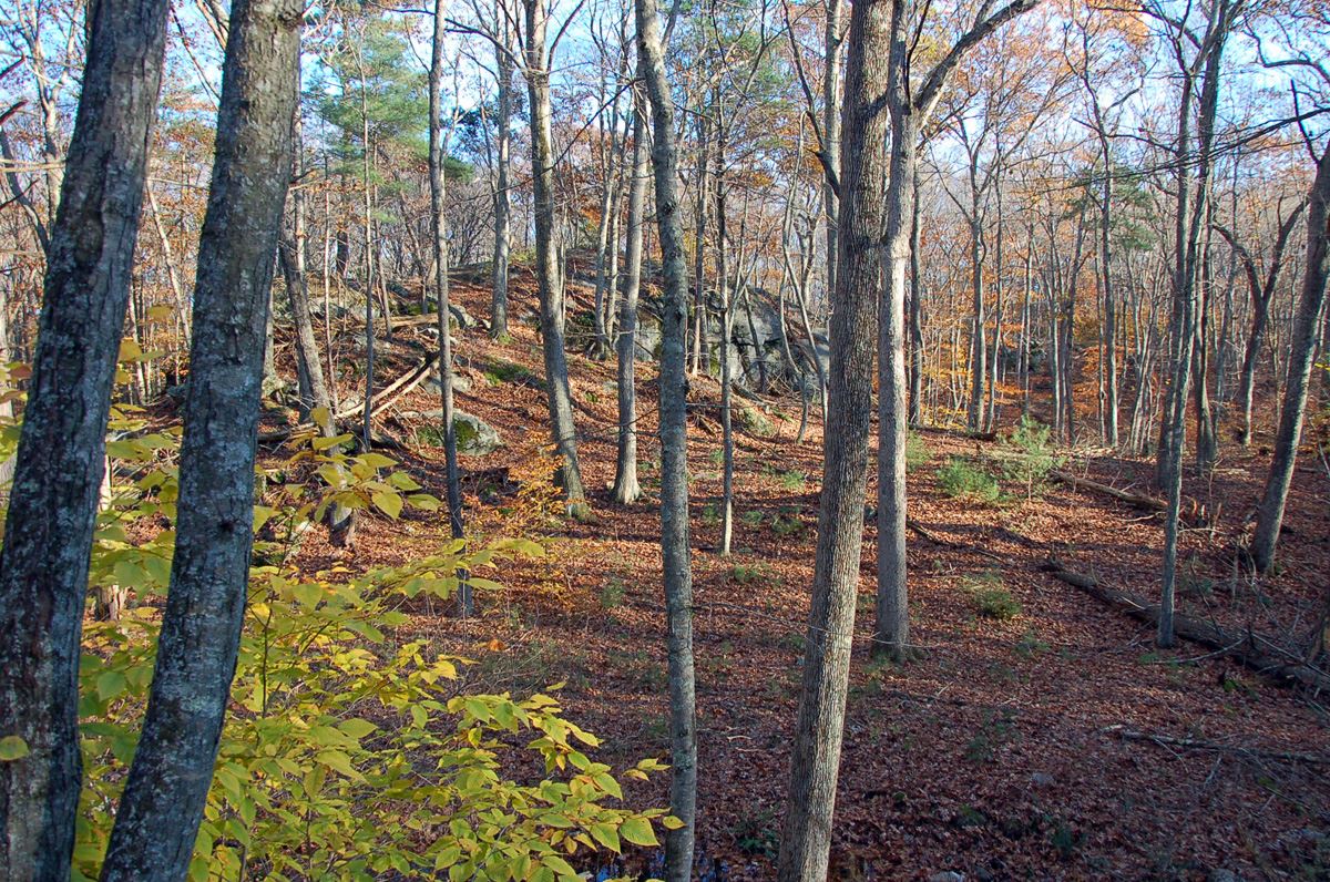 Champlain South Scene