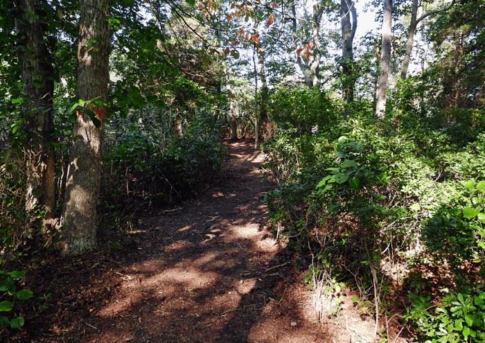 Horseneck-Creek Trail