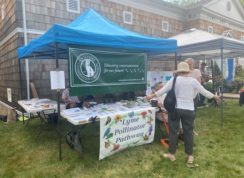 Old Lyme Midsummer Festival Conservation booth