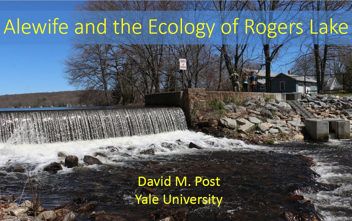 Alewife & the Ecology of Rogers Lake by David Post, Yale University Presentation 