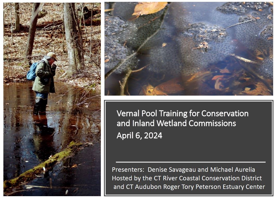 Vernal Pool Training - Denise Savageau