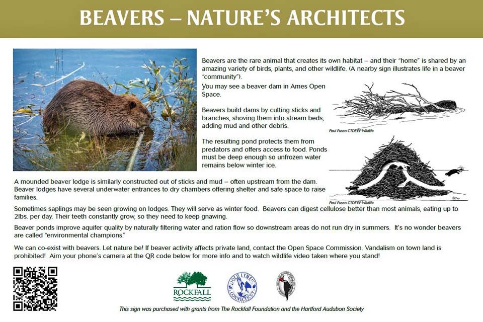 Beaver Architects graphic