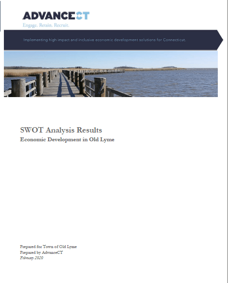 2019 Strength and Weakness Opportunities and Threats Report Cover